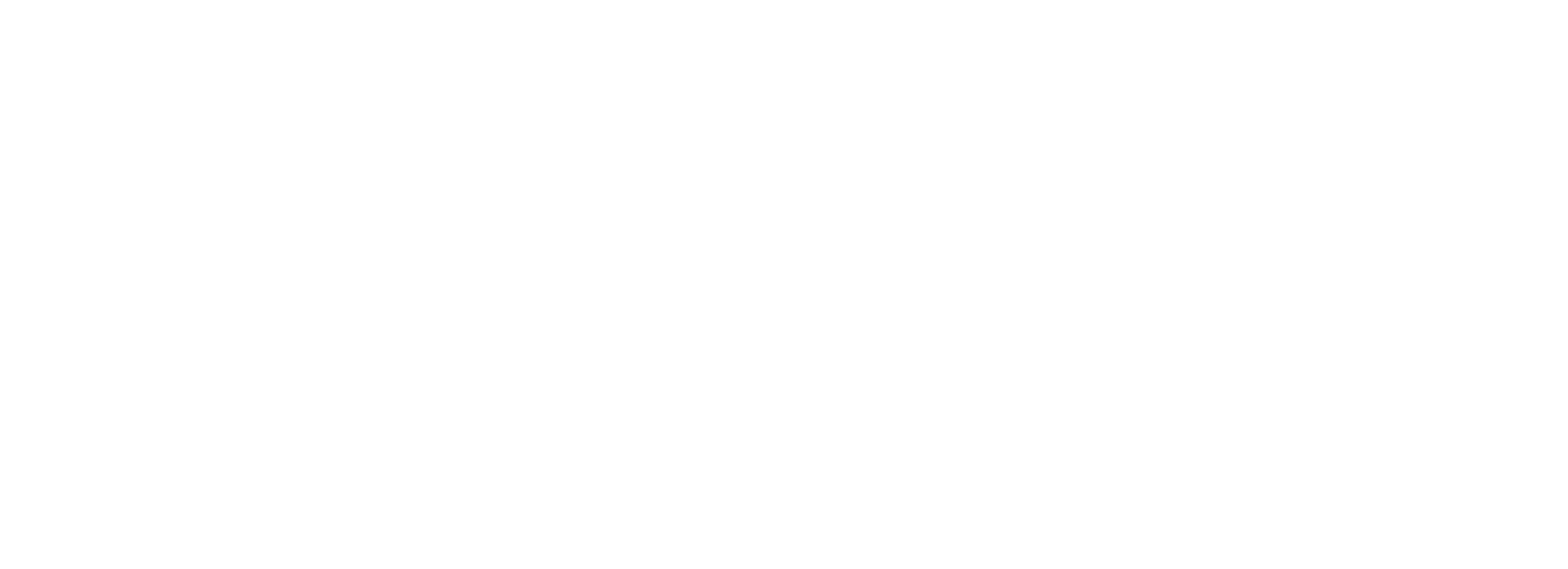 Inventario Activo